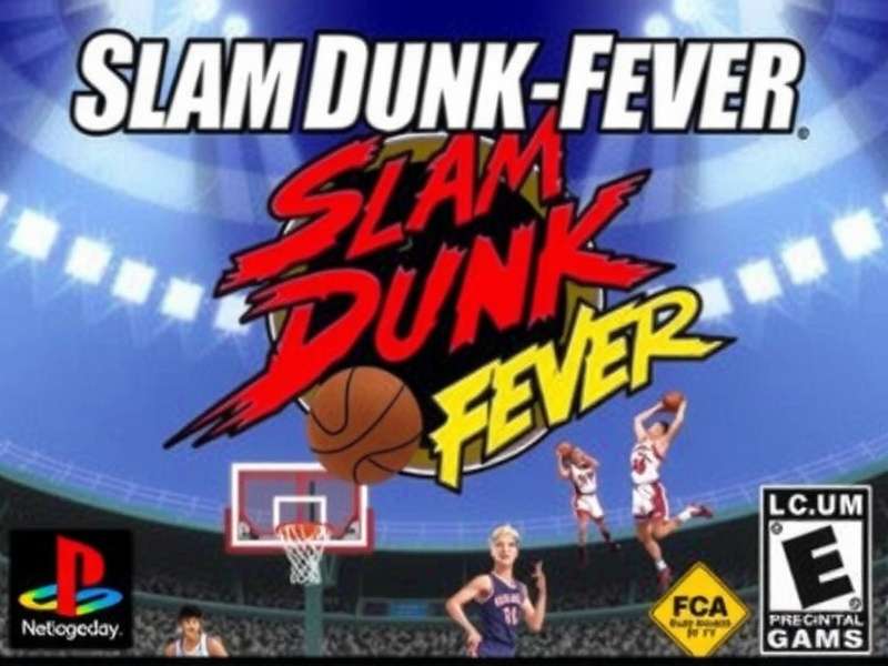 Slam Dunk Fever Game Cover
